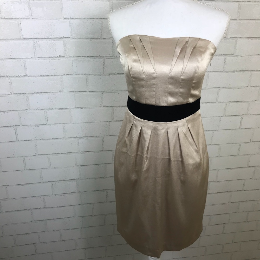The Limited Strapless Champagne Dress NWT Sz 4